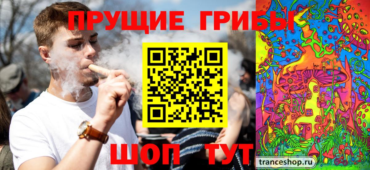 что такое   Вход с VPN  Владимир  Псилоцибиновые грибы Cubensis 
