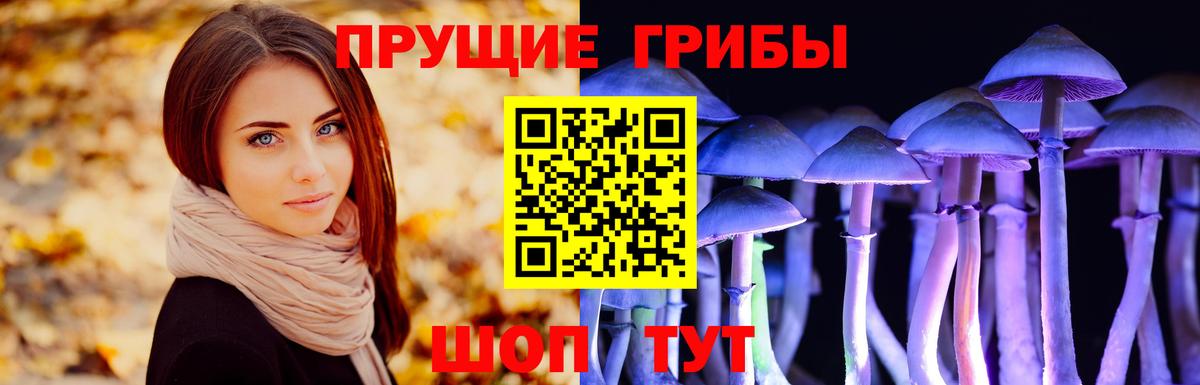 Псилоцибиновые грибы прущие грибы Владимир